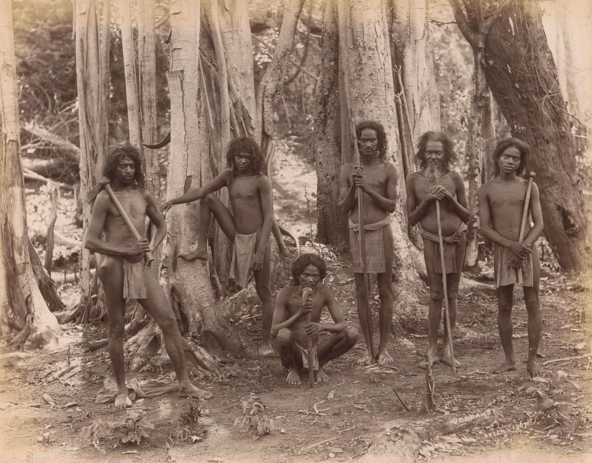 A group of Adivasi men photographed in Sri Lanka c. 1870-1904.