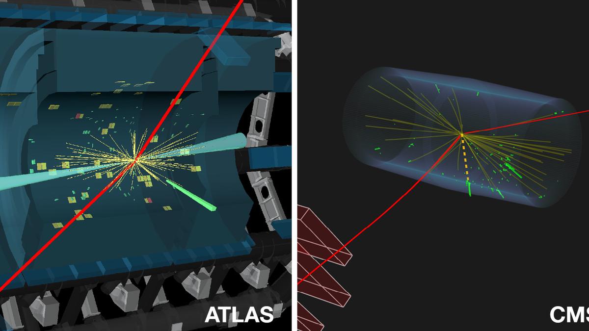 Explained | The decade-long search for a rare Higgs boson decay
Premium