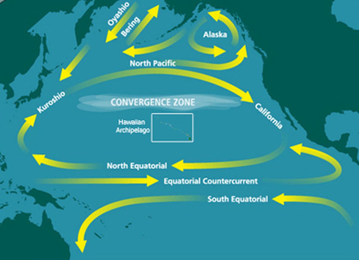 A diagram showing the NPSG. The eastern part of the convergence zone hosts the Great Pacific Garbage Patch.