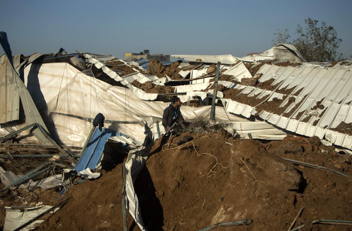 Palestinians inspect the damage to a chicken farm in Gaza City’s eastern suburb of Shujaiya on February 7, 2017, following a series of strikes carried out the day before by Israeli forces against the Hamas movement in the strip in response to a projectile fired from the enclave that hit a border area, according to an Israeli military statement.