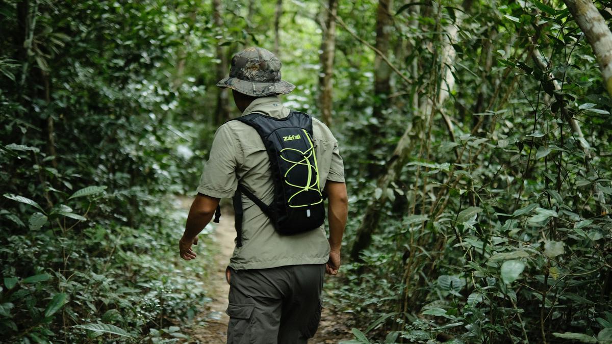 From field to screen: the changing landscape of ecology research