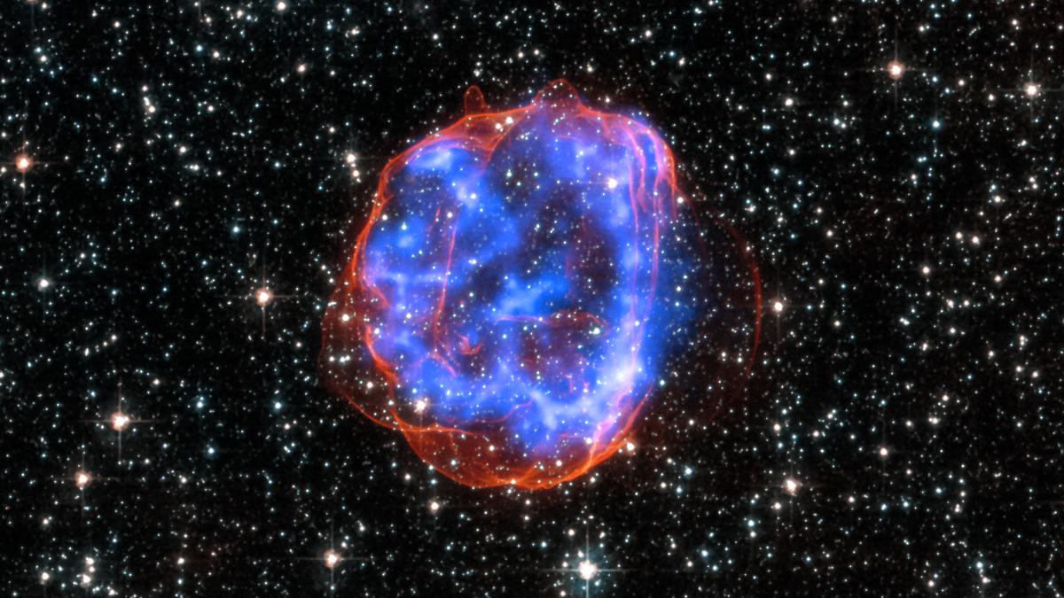 Want to catch a supernova? There’s a new app for that
Premium
