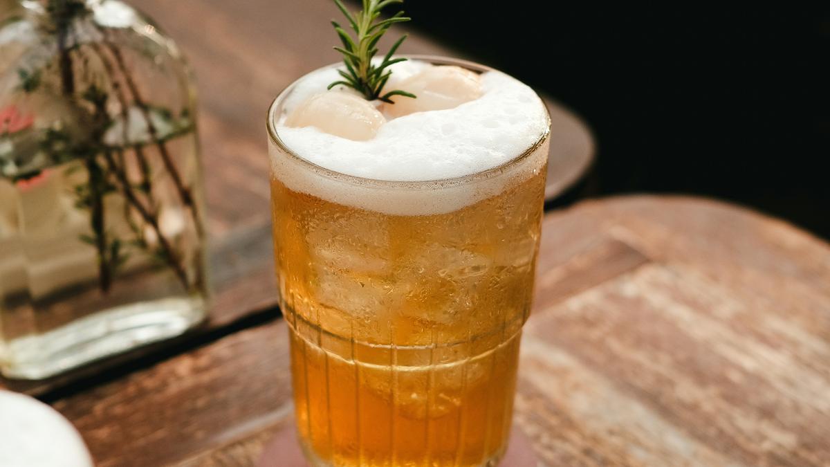 Kombucha can rebalance gut ecosystem in people with obesity: study