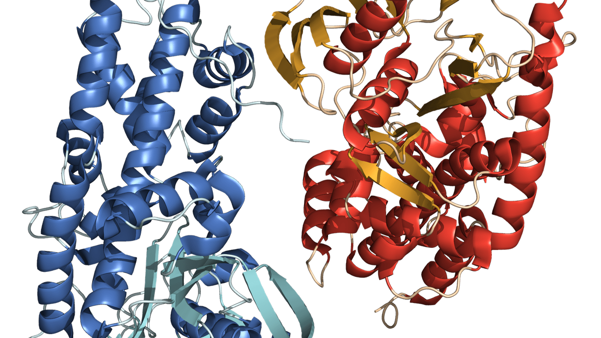 Cracking the mystery of how proteins found their shapes thumbnail