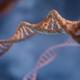 Sinhalese migrated from South India, mixed heavily with Adivasi post-migration, genome study finds 2 digitale de 2GEr4fLZt8A unsplash
