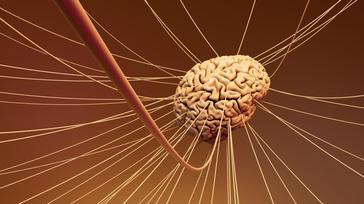 Major study opens window to the brain when an emotion first appears
Premium