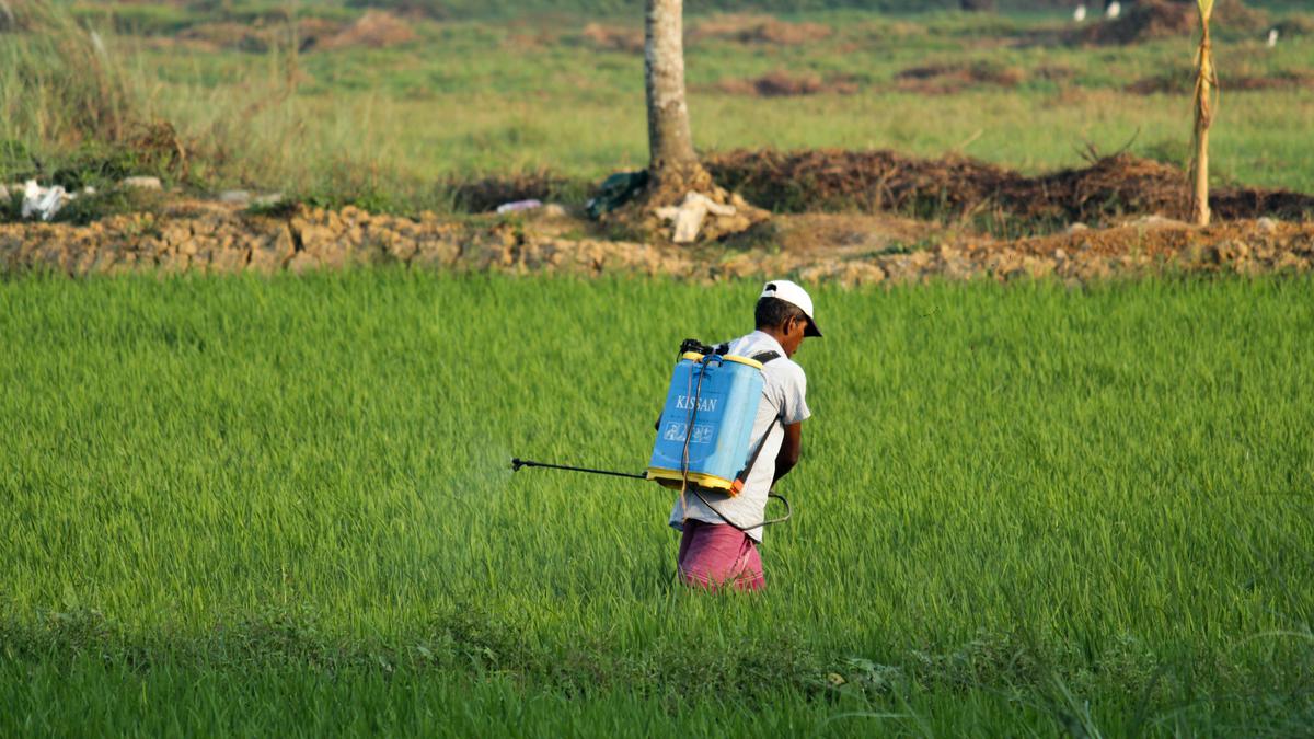 Feeding humans has trapped the world in debt, degradation: FAO report | Explained
Premium