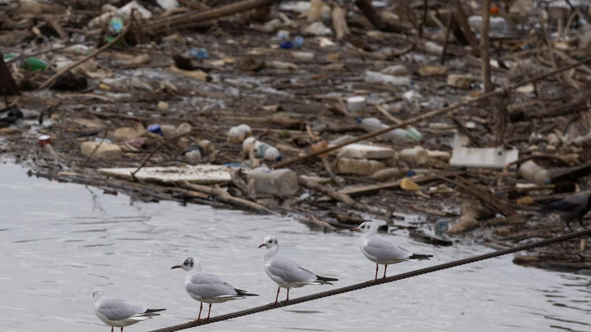 Most surface water bodies in Europe polluted, EU says