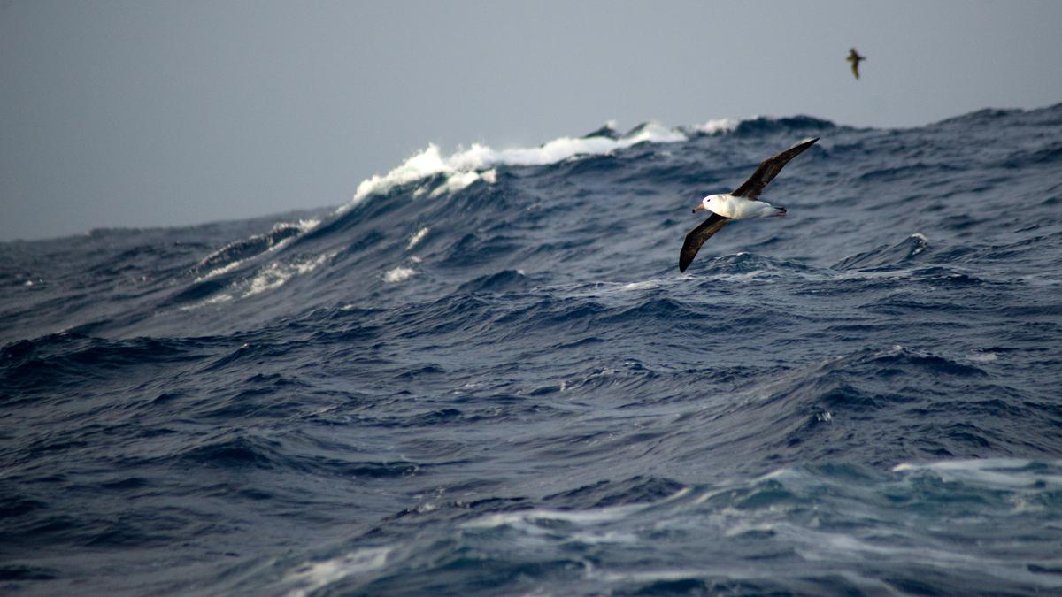 Deep ocean currents in Antarctica are slowing earlier than predicted