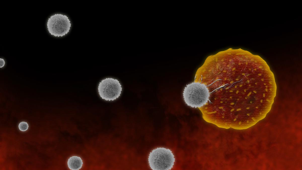 Expliqué |  Pourquoi la thérapie CAR T-cell est le prochain coup de foudre du traitement du cancer
