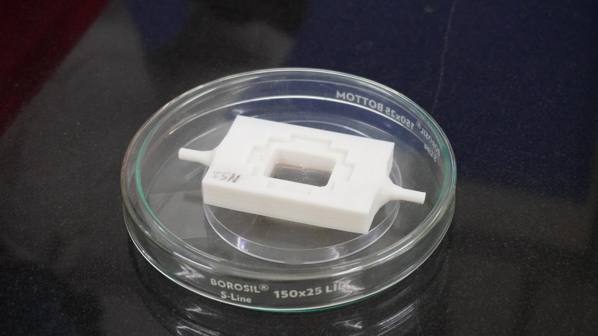 “Organe sur puce”: la nouvelle configuration de laboratoire que les scientifiques utilisent à la place des animaux pour tester de nouveaux médicaments