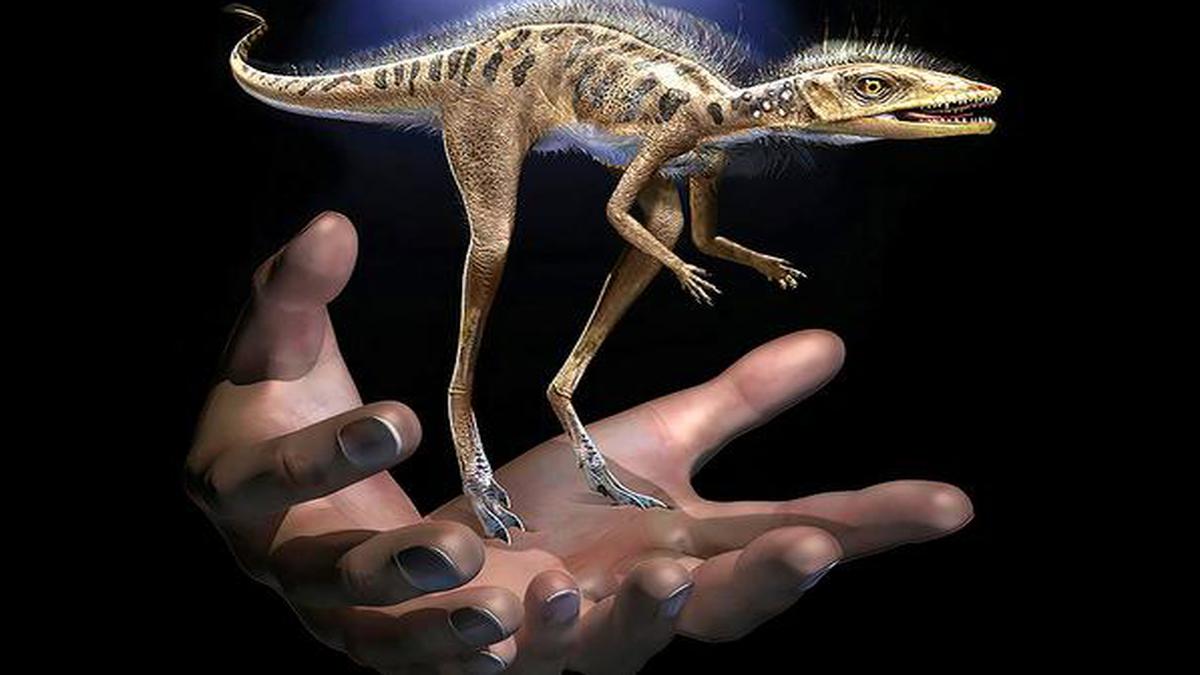 Meet the ‘tiny bug slayer’, ancient relative of dinosaurs and pterosaurs