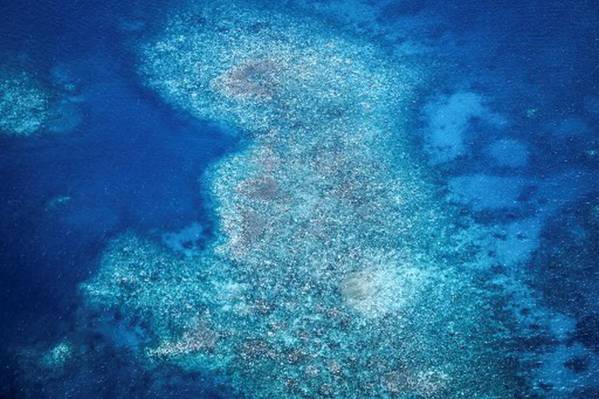 This aerial photo taken on April 4, 2024, shows bleached and dead coral around Lizard Island on the Great Barrier Reef, located 270 kilometres (167 miles) north of the city of Cairns. Australia’s famed Great Barrier Reef is teetering on the brink, suffering one of the most severe coral bleaching events on record -- the fifth in eight years -- and leaving scientists unsure about its survival. 