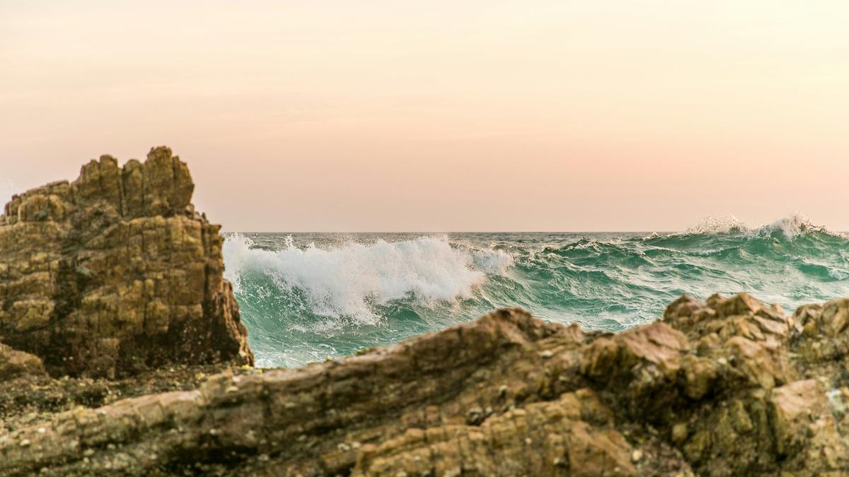 Science Snapshots: March 22, 2026