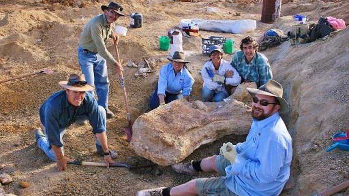 Meet A.cooperensis, Australia's largest dinosaur - The Hindu