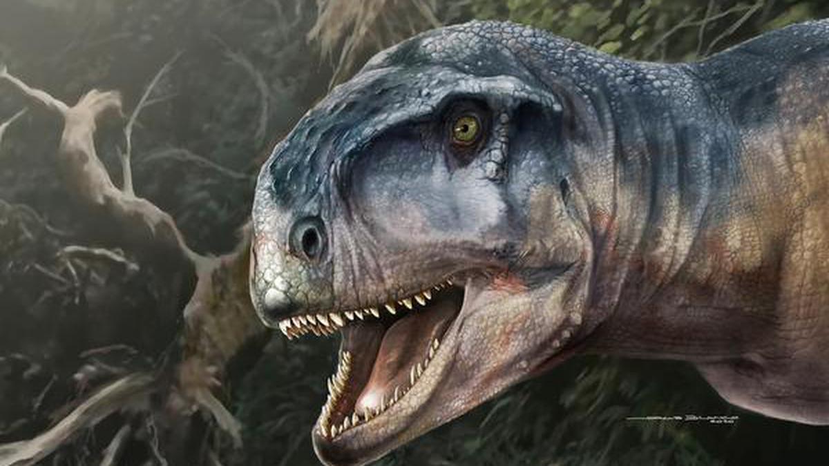 Like Godzilla, but actually real': study shows T. rex numbered 2.5 billion