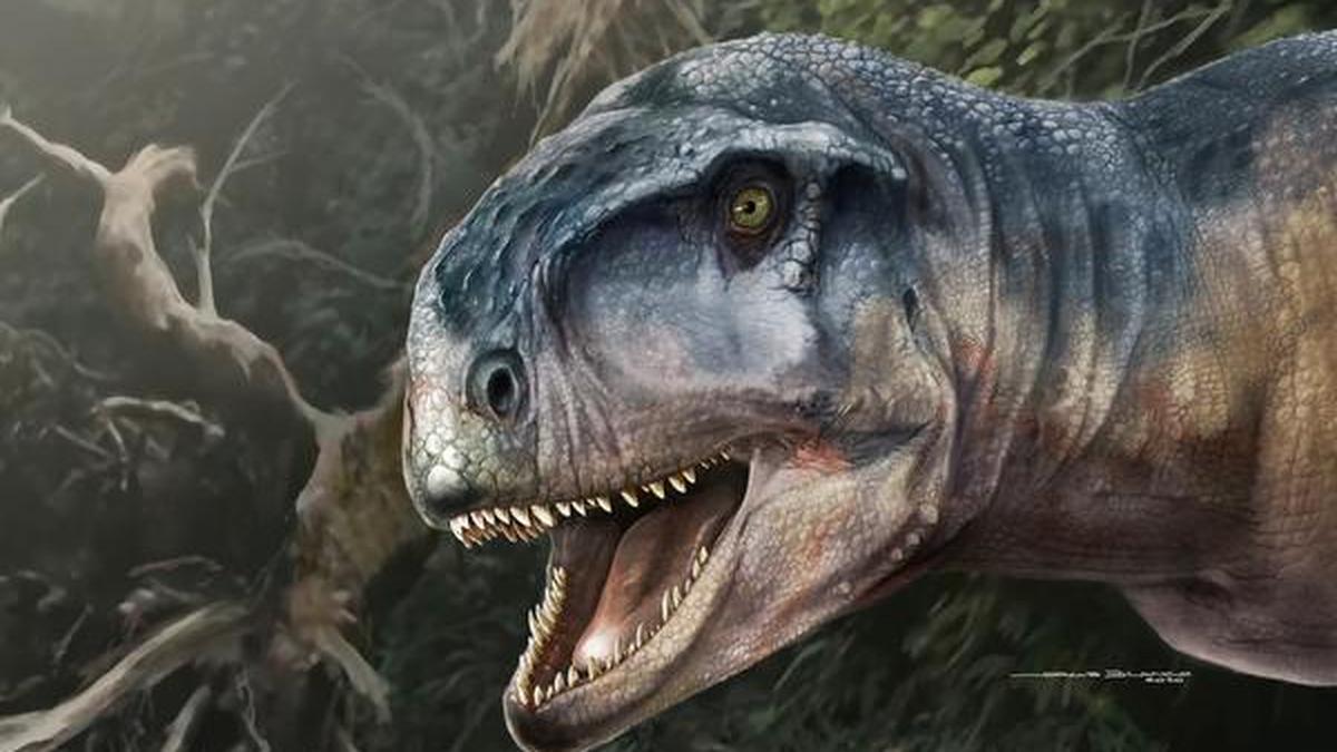 New meateating dinosaur fossil discovered in Argentina The Hindu