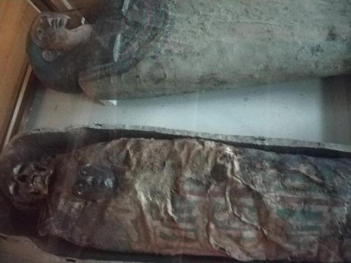 4000-year-old mummy at Indian Museum in Kolkata moderately stable, says  expert - The Hindu