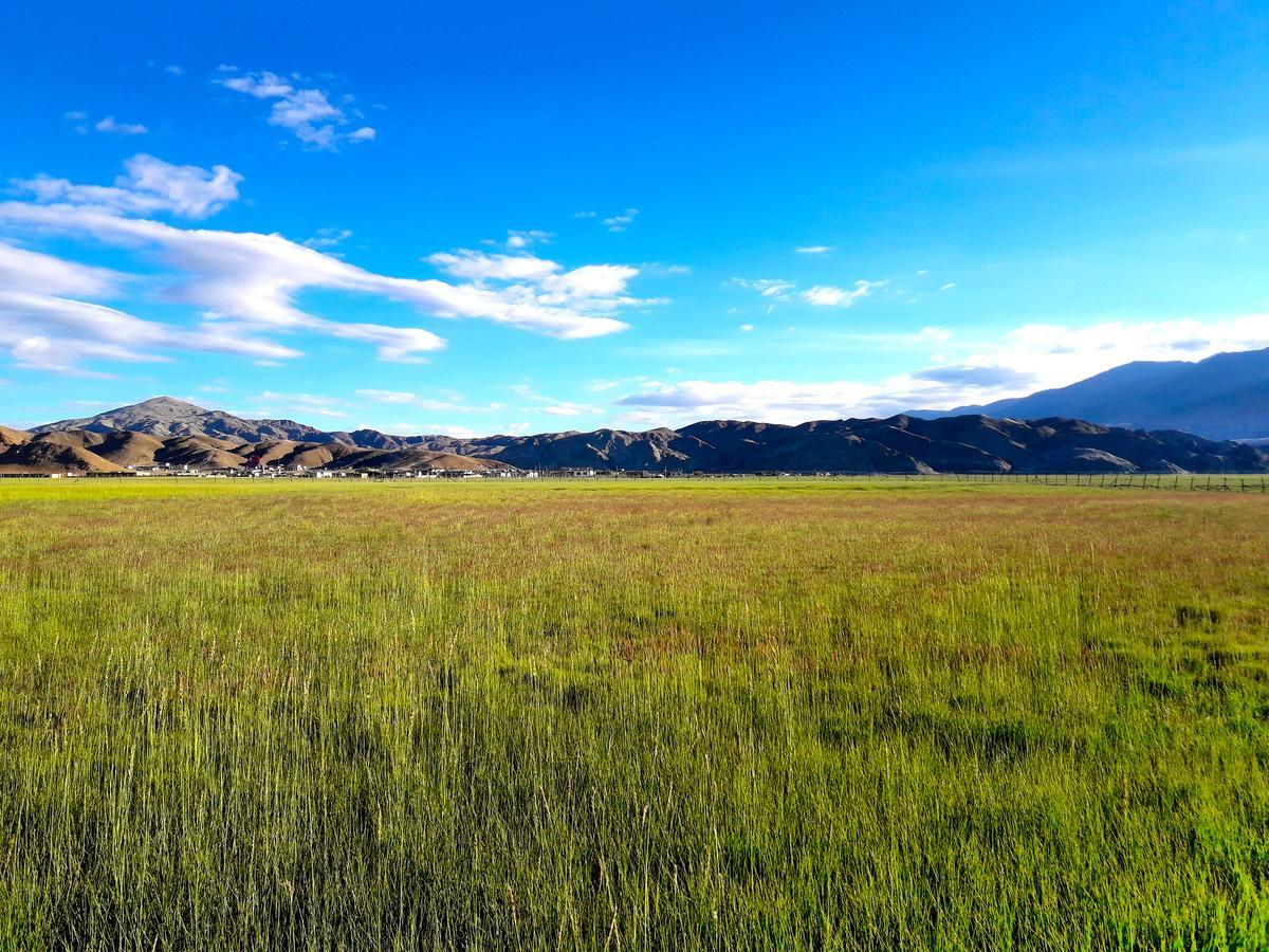 Hanle Ladakh 마을의 초원 Hanle Ladakh 마을의 초원