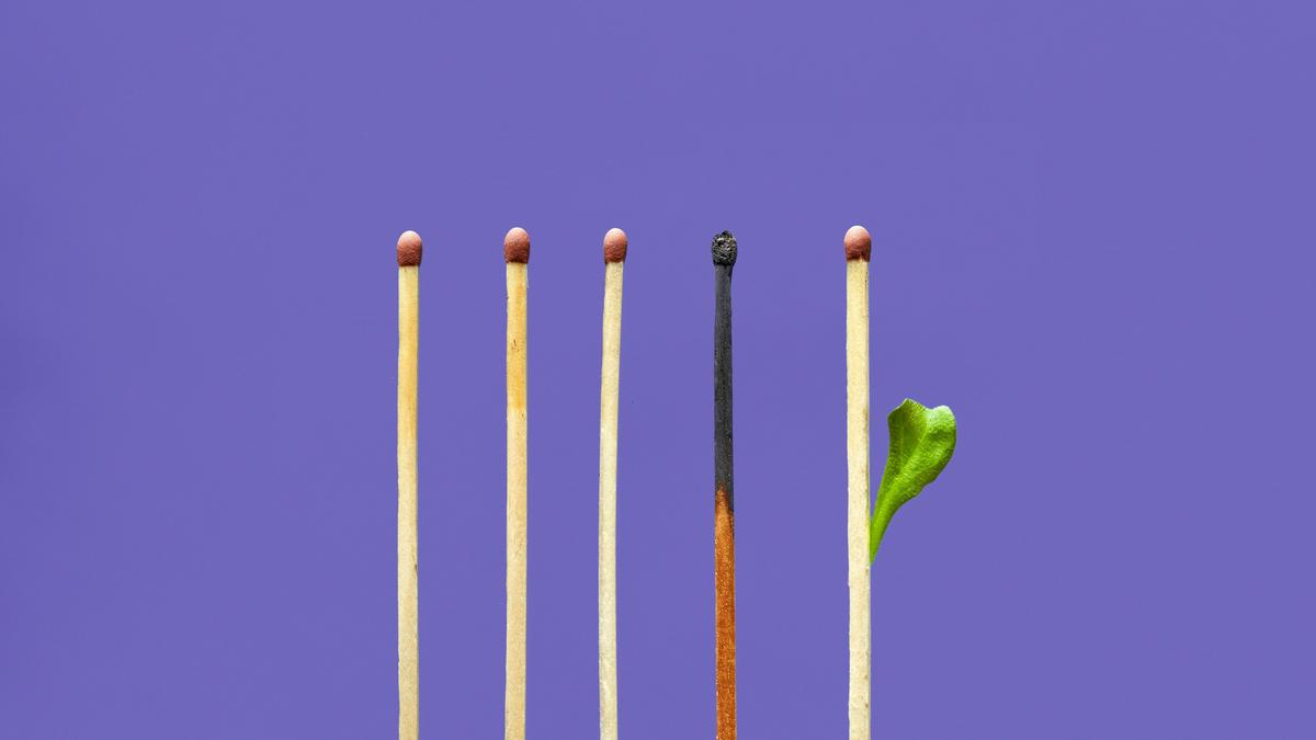 Reviewer burnout drives AI use yet human oversight remains crucial