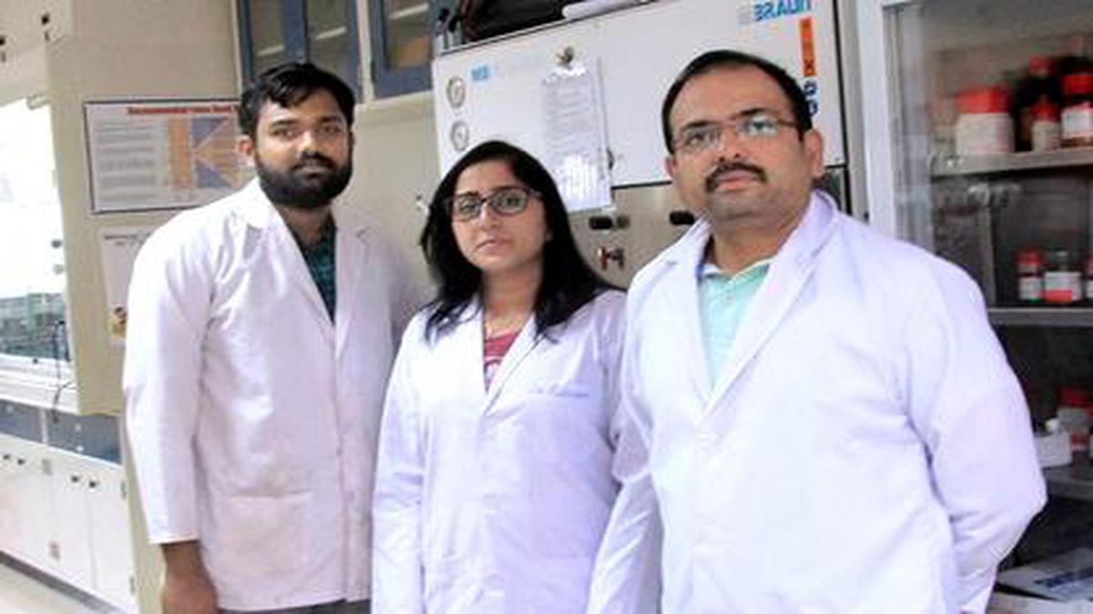 IISER Bhopal develops organic solar cell using vitamin B12 derivative ...