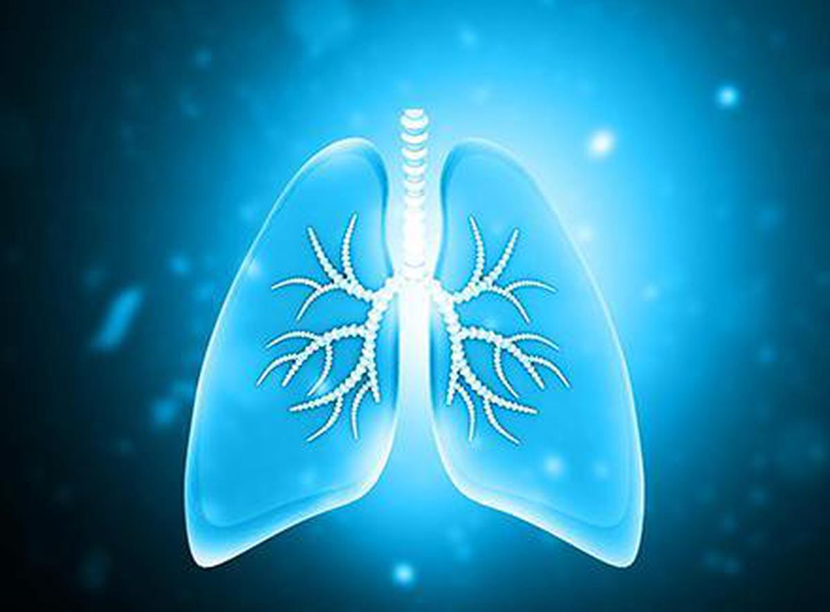 A platform developed for diagnosing tuberculosis from urine samples ...