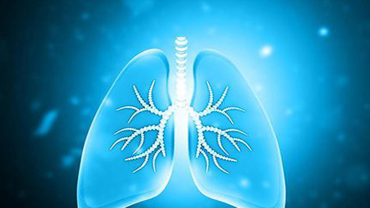 A Platform Developed For Diagnosing Tuberculosis From Urine Samples 