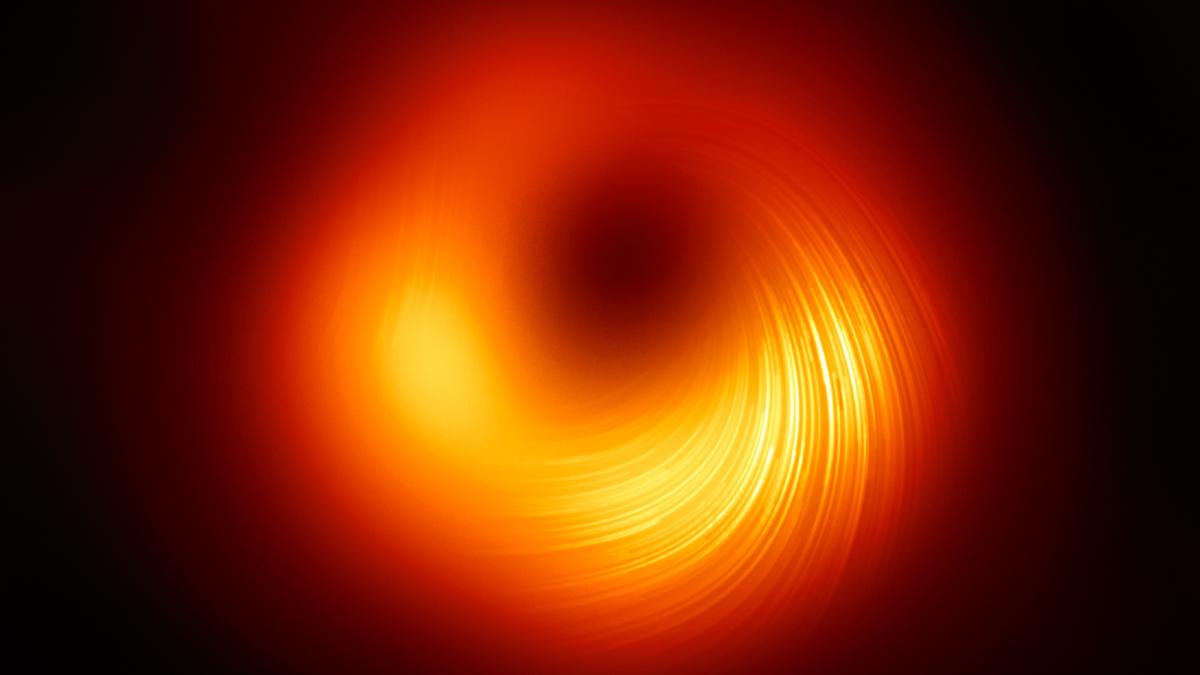 Can we make black holes reveal themselves in echoes of light?
Premium