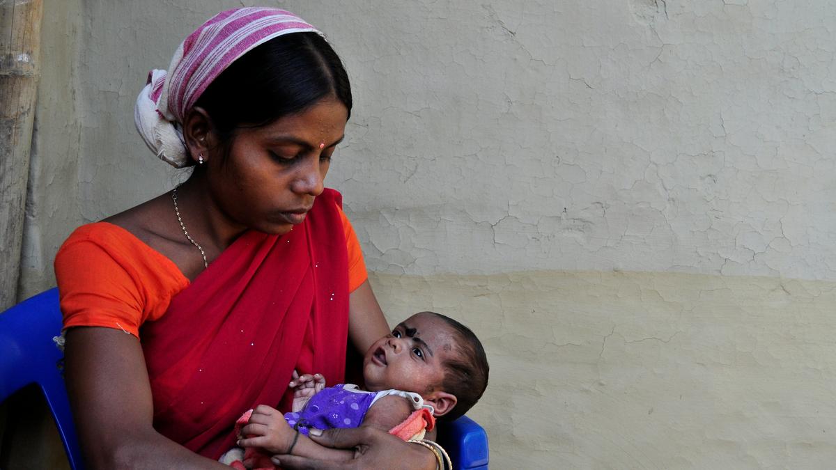 Experiencing heat during pregnancy results in fewer male babies: study