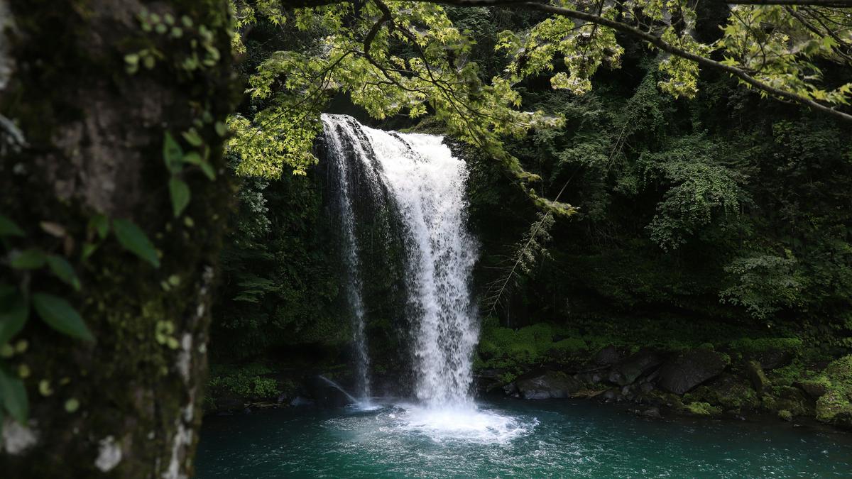 Why does water appear white in a waterfall?
Premium