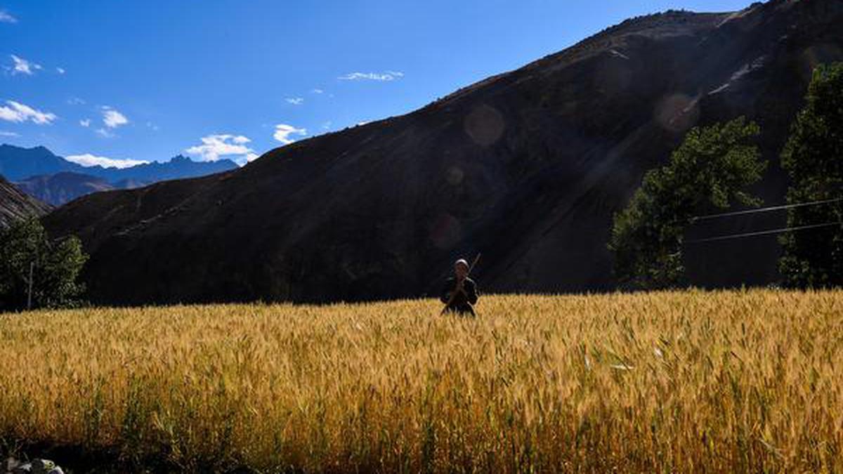 AMU professor behind discovery of salt tolerant protein in barley