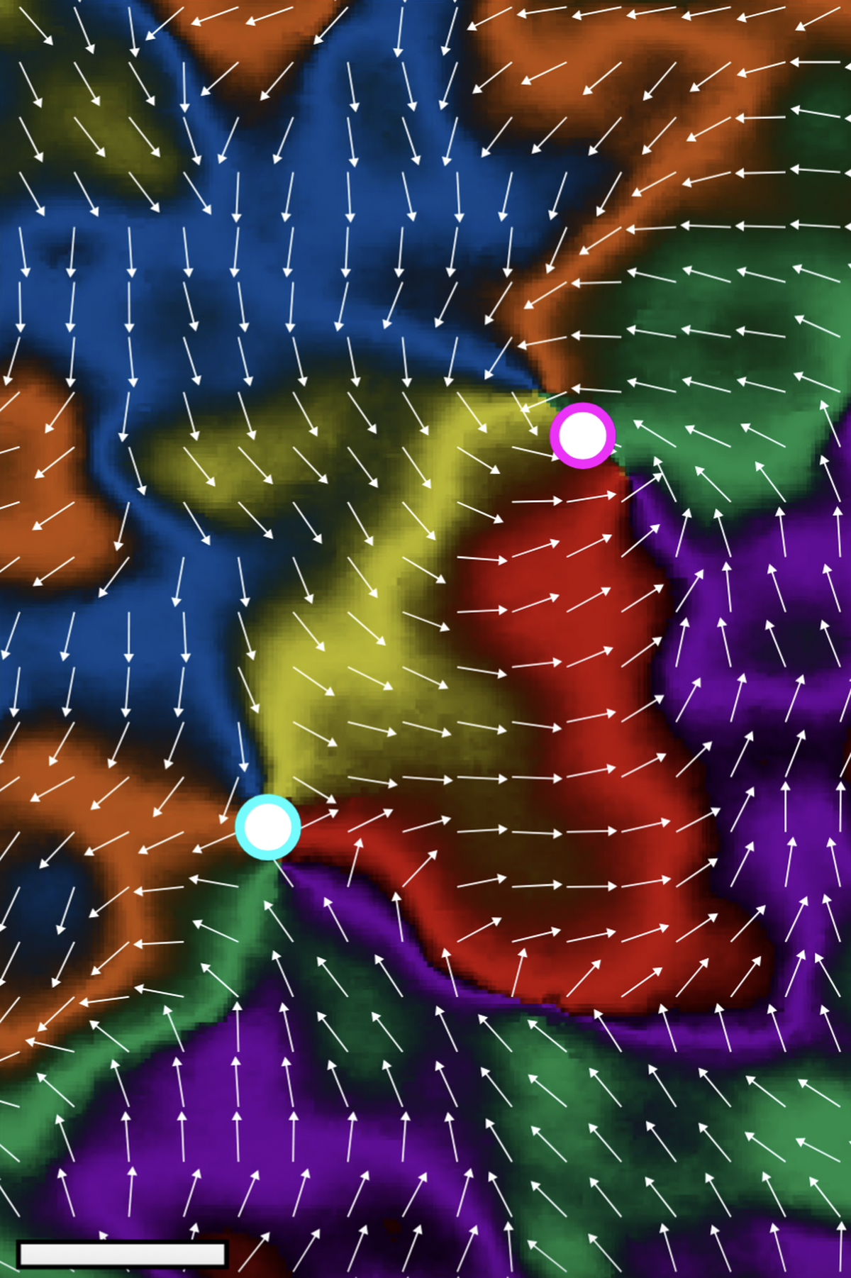 The swirling textures of the altermagnetic order vector in manganese telluride, indicated by the six colours and overlaid vector plot. This image was developed in a December 2024 study led by University of Nottingham researchers; this study provided the first experimental visual evidence of altermagnetism. The swirling textures of the altermagnetic order vector in manganese telluride, indicated by the six colours and overlaid vector plot. This image was developed in a December 2024 study led by University of Nottingham researchers; this study provided the first experimental visual evidence of altermagnetism.