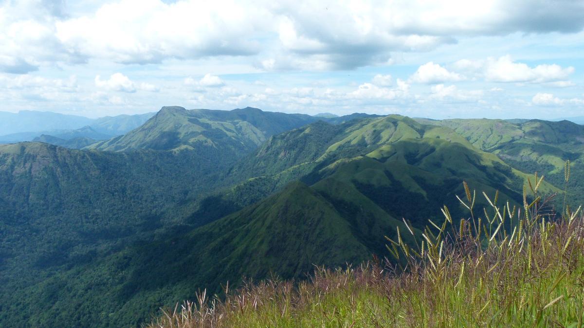 2013 년 11 월 Sakleshpur-Mudiger Mountain Forest의 파노라마 전망 2013 년 11 월 Sakleshpur-Mudiger Mountain Forest의 파노라마 전망