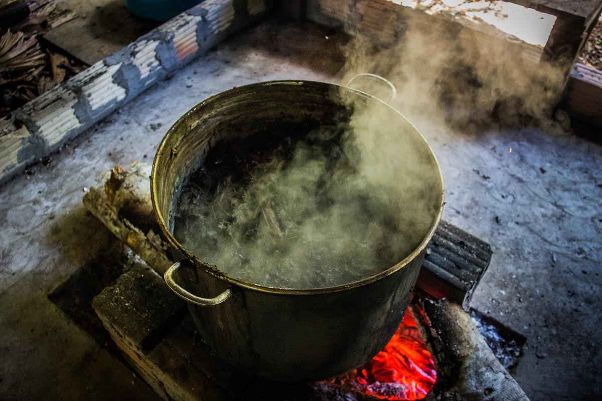 Ayahuasca brewing in a pot in Iquitos, Peru, in 2016. Ayahuasca brewing in a pot in Iquitos, Peru, in 2016.