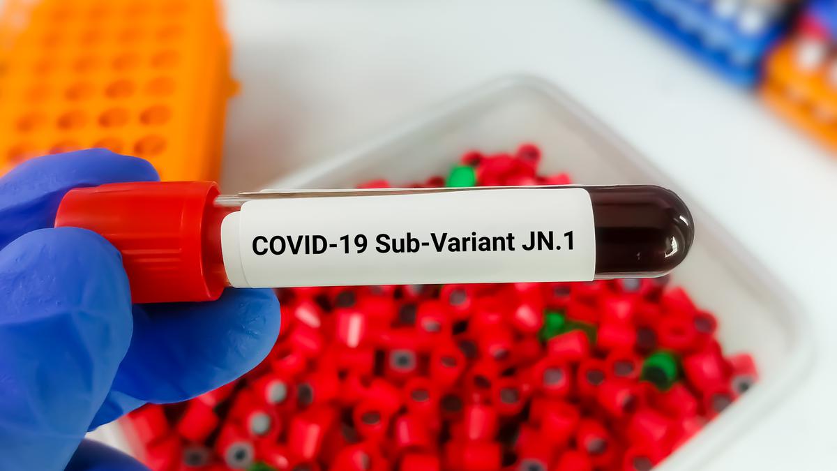 Cinq personnes succombent au COVID au cours des dernières 24 heures ;  511 cas de variante de la série JN.1 signalés jusqu’au 2 janvier