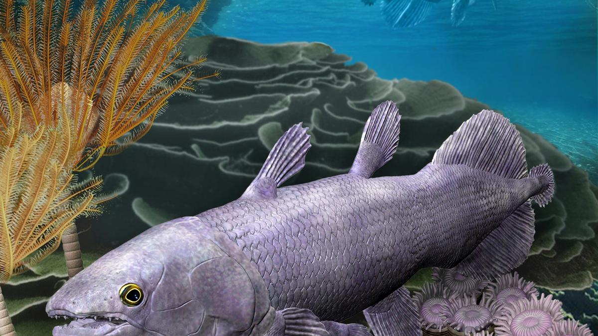 Exceptional new fish fossil sparks rethink of how earth’s geology drives evolution
Premium