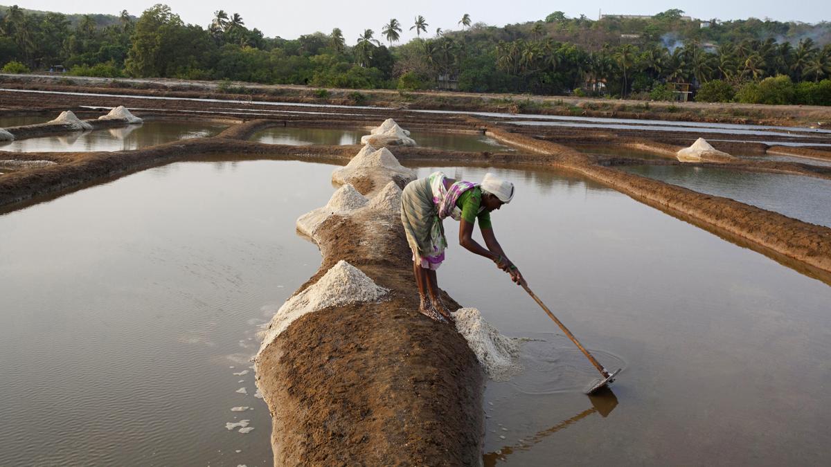 Heat stress poses health risks for salt pan workers, study finds