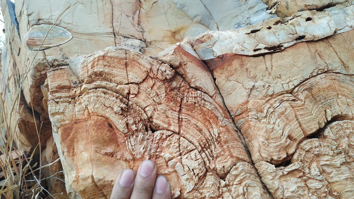 Pourquoi c’est important |  La roche d’Andhra remet en question les conditions de vie il y a 2 millions d’années