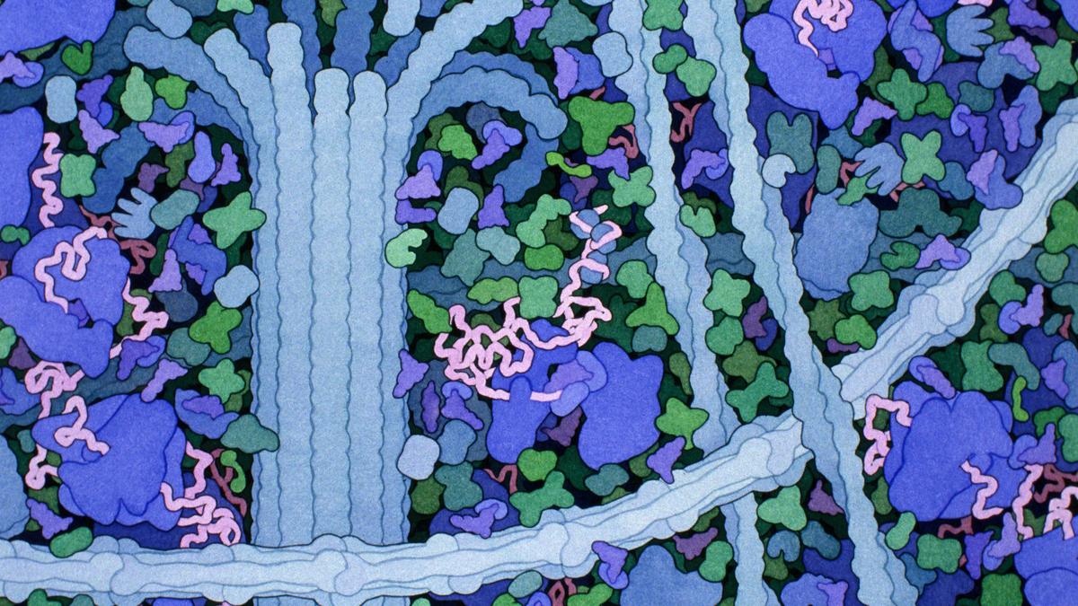 Google’s new AI for drug discovery is a win for scientific discovery
Premium