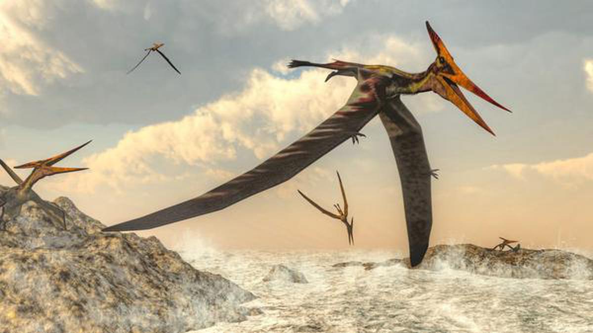 Pterodactyl Pteranodon Image & Photo (Free Trial)