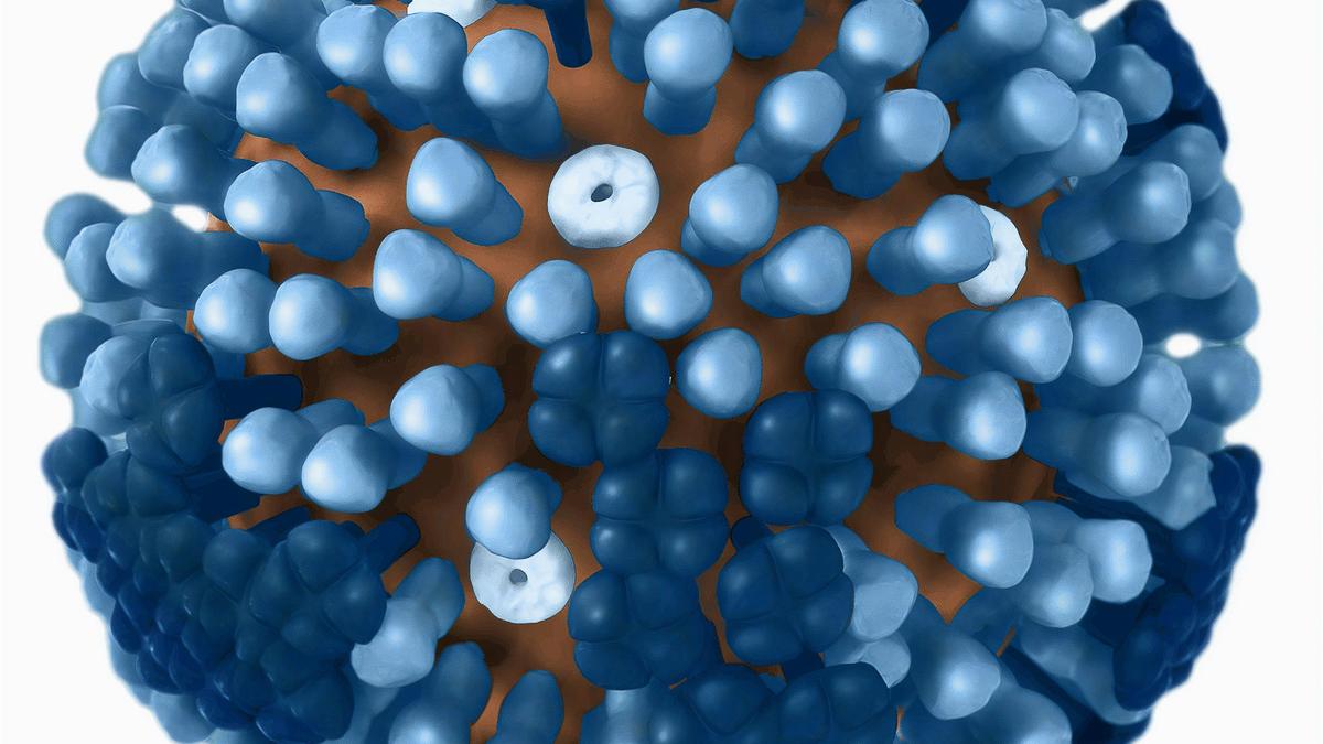 The case to rethink India’s influenza vaccination strategy The case to rethink India’s influenza vaccination strategy