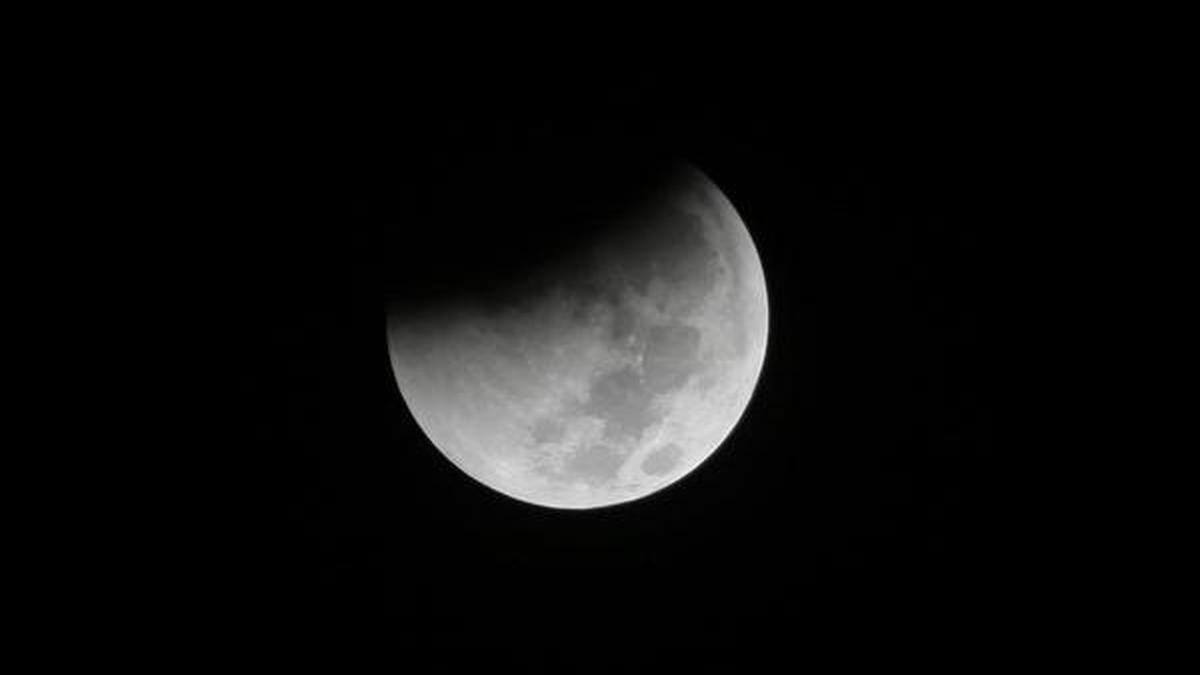 Лунное затмение в 2019 году. Затмение ночью. Обои на телефон Кровавая Луна с лесом. Лунный год начало