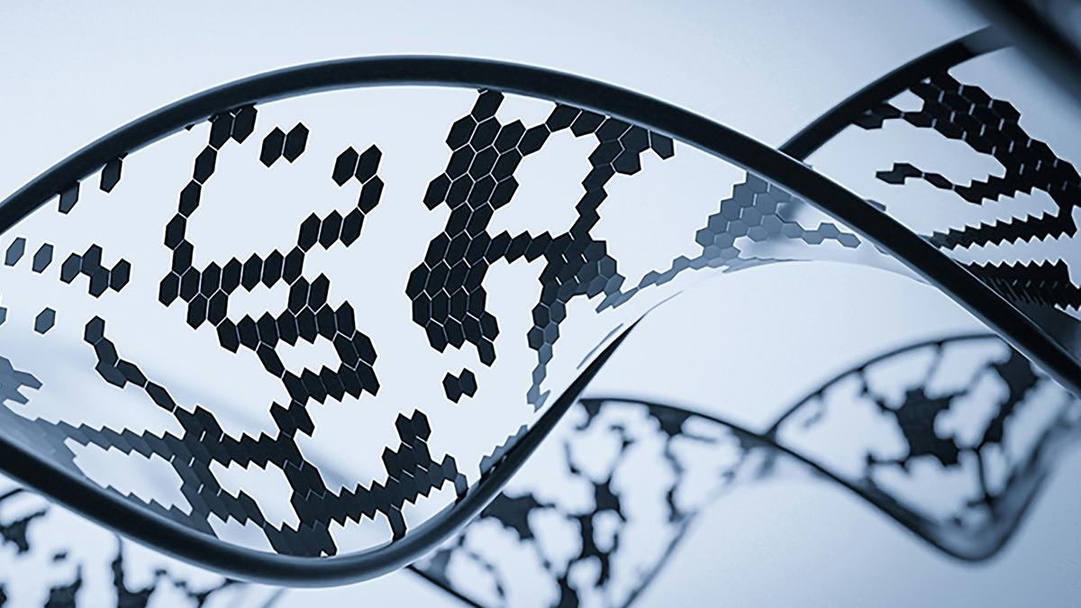 What is xenobiology?
Premium