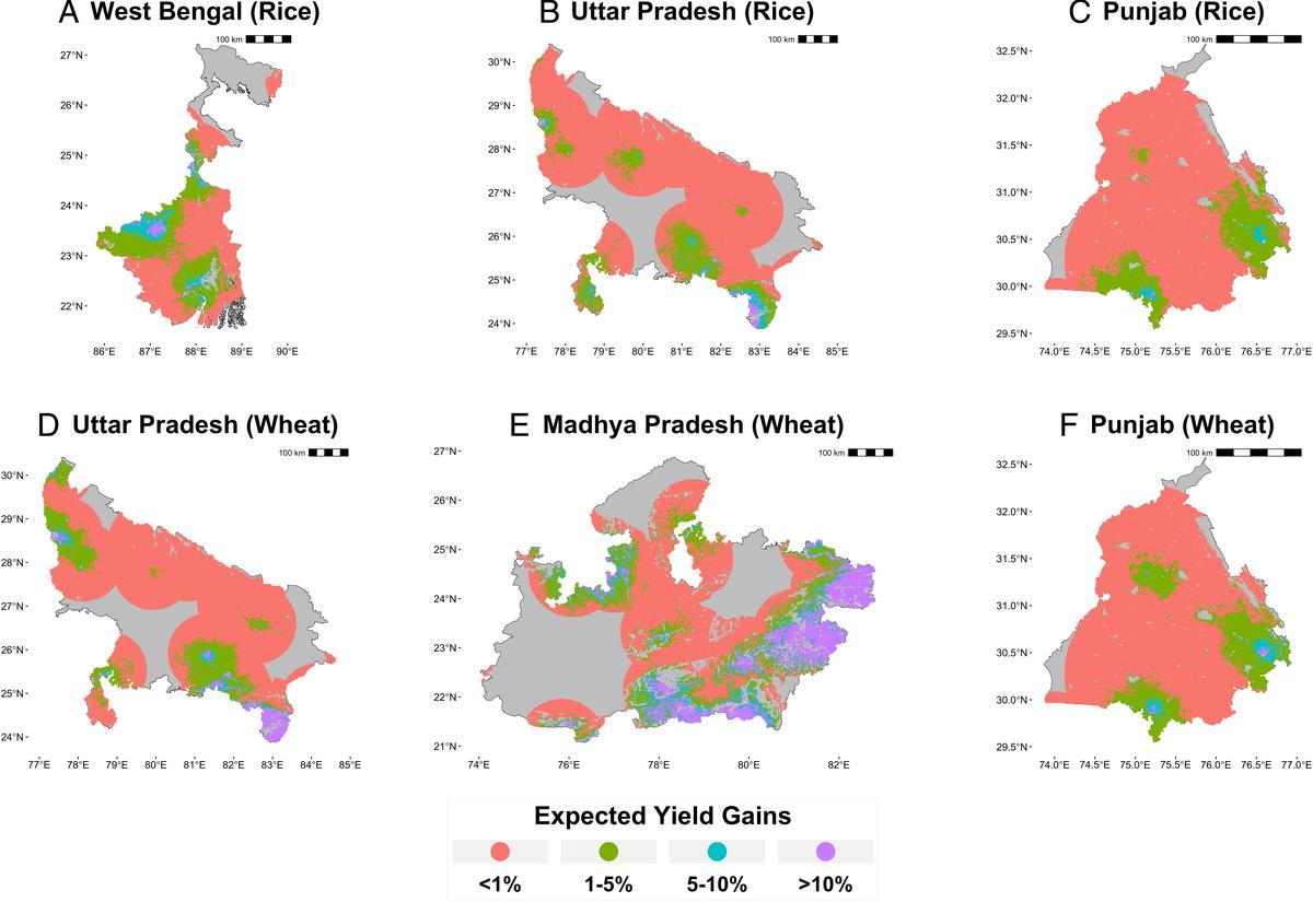 Expected yield gains from eliminating coal-attributable nitrogen dioxide concentrations in major rice- and wheat-producing states. Large tracts of cropland in all key states are expected to see yield improvements of 1% from eliminating coal-related NO2. Data from 2019 growing seasons.