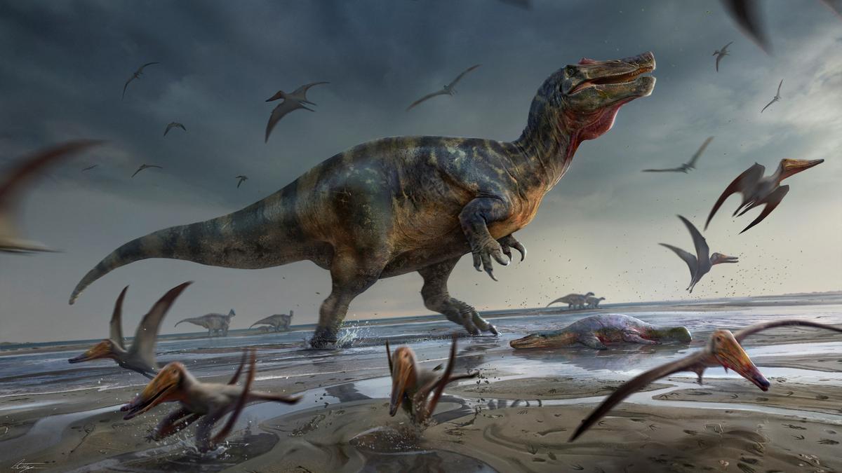 Europe's largest meat-eating dinosaur found on Isle of Wight