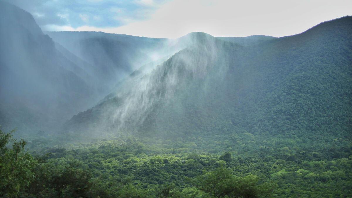 Sci-Five | The Hindu Science Quiz: On Hills
Premium