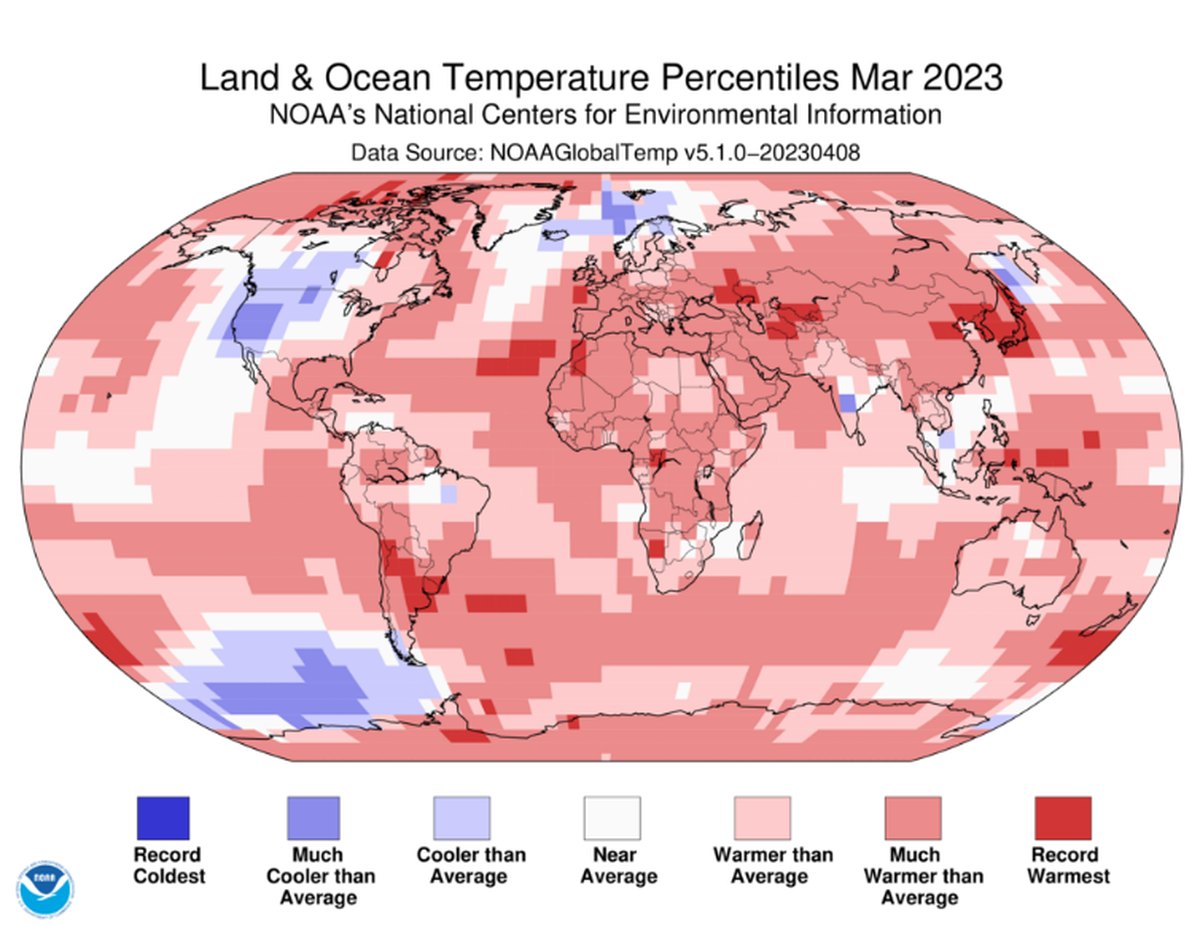 Percentile ranking of temperature anomalies highlight specific regional features, such as the “much warmer than average” warming over the Arabian Sea in March 2023.