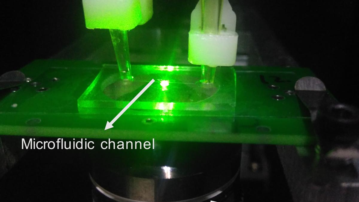 Diamond-based quantum sensors to detect SARS-CoV-2