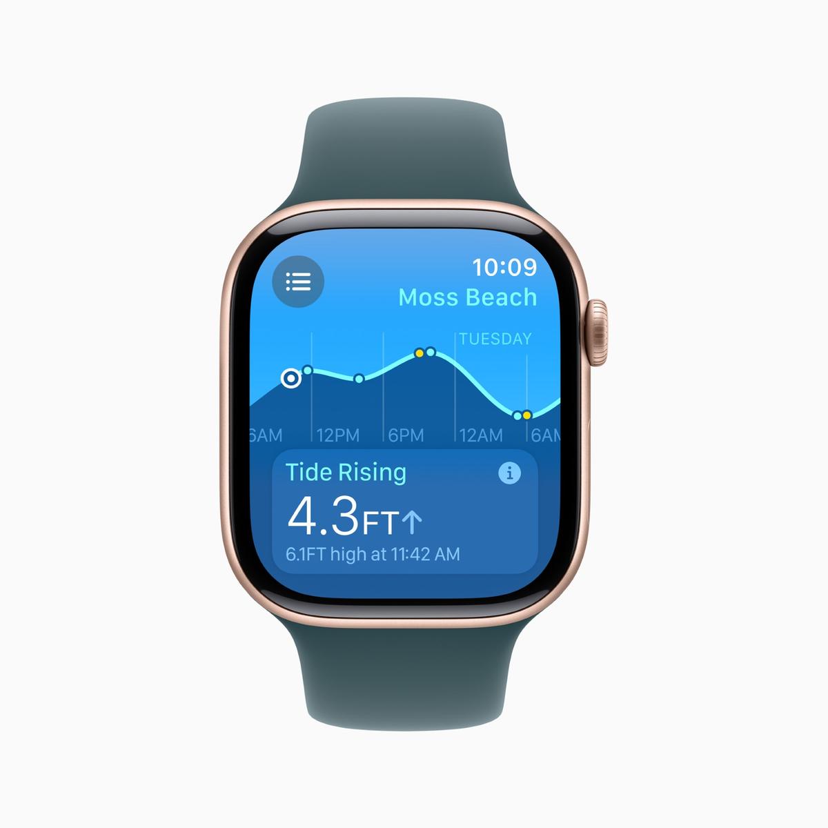 The Apple Watch 10 comes with a plethora of features for those who are into adventure sports, such as this tides information app