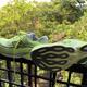 Under Armour Velociti Distance Review: A workhorse with a personality